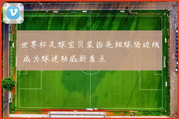 世界杯足球宝贝装扮亮相球场边线 成为球迷助威新看点