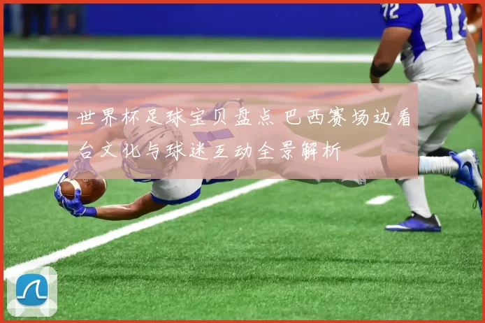 世界杯足球宝贝盘点 巴西赛场边看台文化与球迷互动全景解析