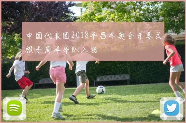 中国代表团2018平昌冬奥会开幕式旗手周洋率队入场