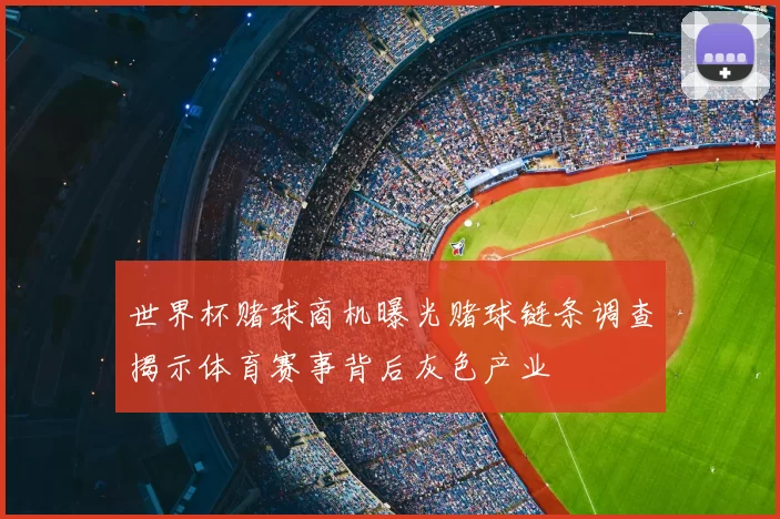 世界杯赌球商机曝光赌球链条调查揭示体育赛事背后灰色产业